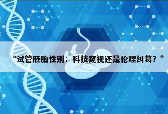 “试管胚胎性别:科技窥视还是伦理纠葛?”