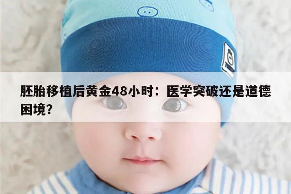 胚胎移植后黄金48小时:医学突破还是道德困境?