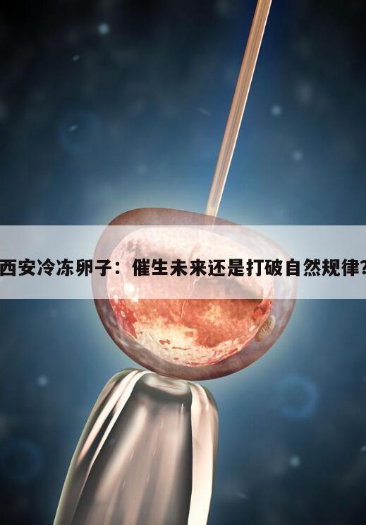 西安冷冻卵子:催生未来还是打破自然规律?
