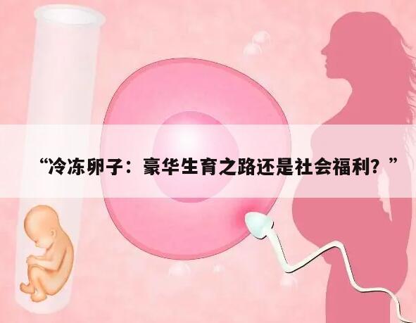 “冷冻卵子:豪华生育之路还是社会福利?”