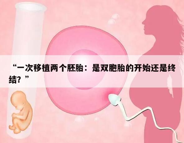 “一次移植两个胚胎:是双胞胎的开始还是终结?”