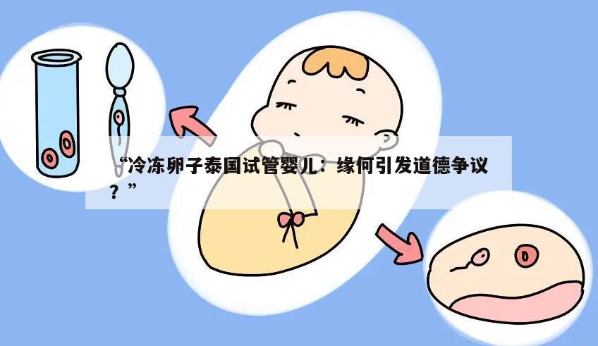 “冷冻卵子泰国试管婴儿:缘何引发道德争议?”