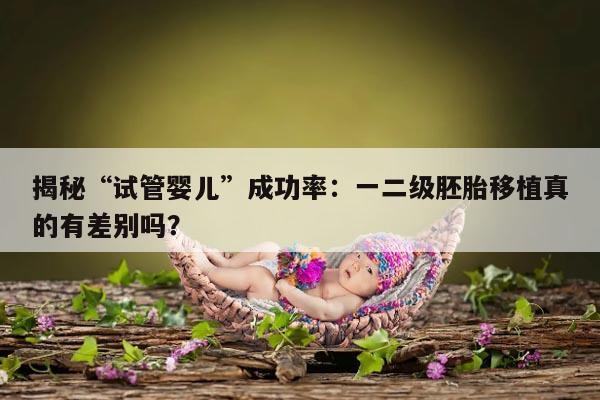 揭秘“试管婴儿”成功率：一二级胚胎移植真的有差别吗？