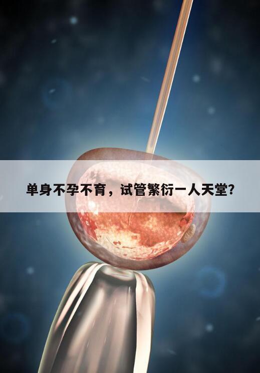 单身不孕不育,试管繁衍一人天堂?