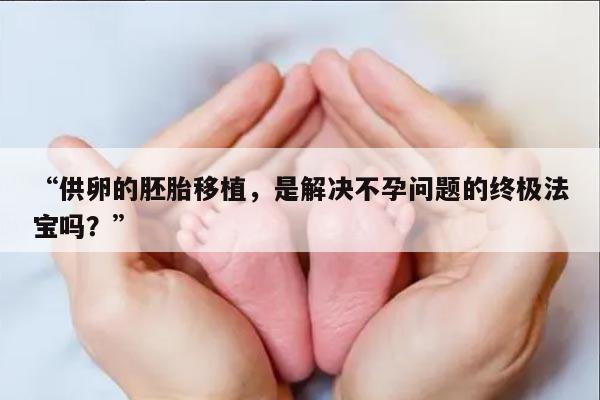 “供卵的胚胎移植,是解决不孕问题的终极法宝吗?”