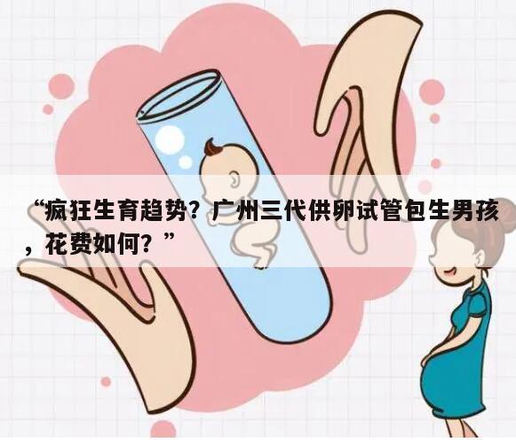 “疯狂生育趋势？广州三代供卵试管包生男孩，花费如何？”