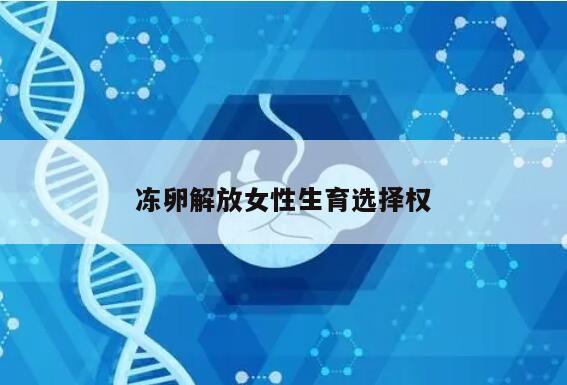 冻卵解放女性生育选择权