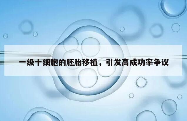 一级十细胞的胚胎移植,引发高成功率争议