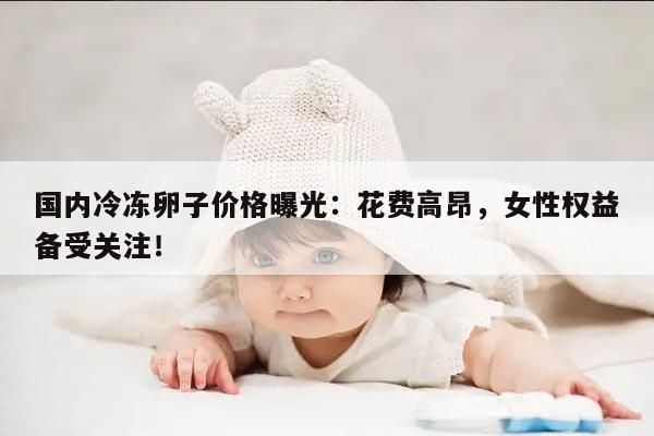 国内冷冻卵子价格曝光：花费高昂，女性权益备受关注！