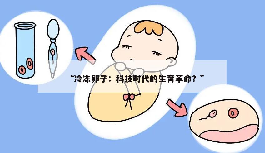 “冷冻卵子：科技时代的生育革命？”