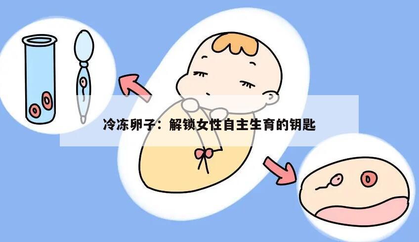 冷冻卵子:解锁女性自主生育的钥匙
