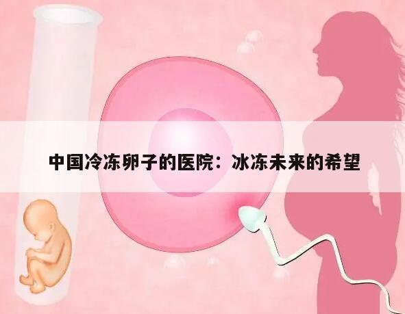 中国冷冻卵子的医院:冰冻未来的希望
