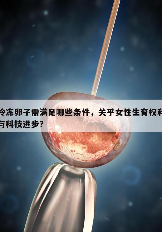 冷冻卵子需满足哪些条件,关乎女性生育权利与科技进步?