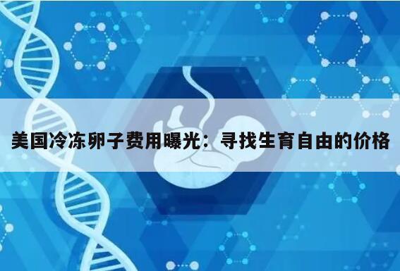 美国冷冻卵子费用曝光:寻找生育自由的价格