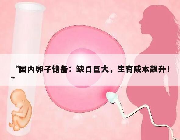 “国内卵子储备:缺口巨大,生育成本飙升!”