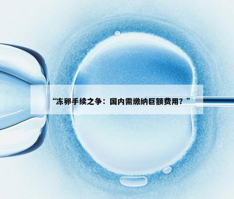 “冻卵手续之争:国内需缴纳巨额费用?”