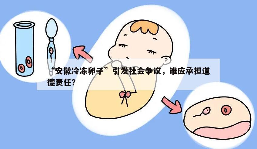 “安徽冷冻卵子”引发社会争议,谁应承担道德责任?