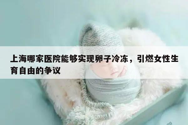 上海哪家医院能够实现卵子冷冻,引燃女性生育自由的争议