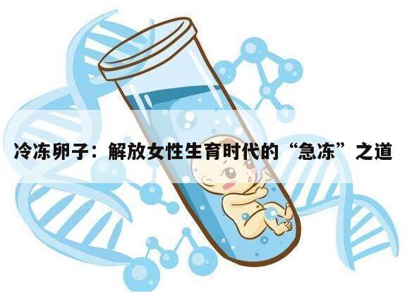 冷冻卵子:解放女性生育时代的“急冻”之道