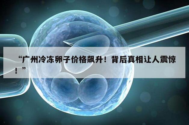 “广州冷冻卵子价格飙升!背后真相让人震惊!”