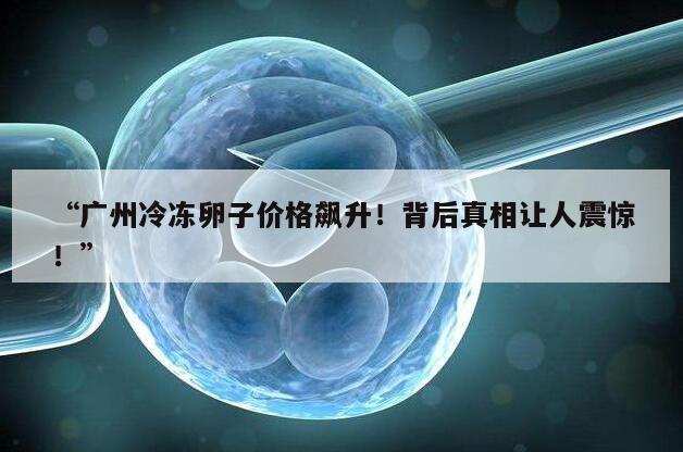 “广州冷冻卵子价格飙升！背后真相让人震惊！”