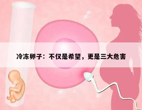 冷冻卵子：不仅是希望，更是三大危害