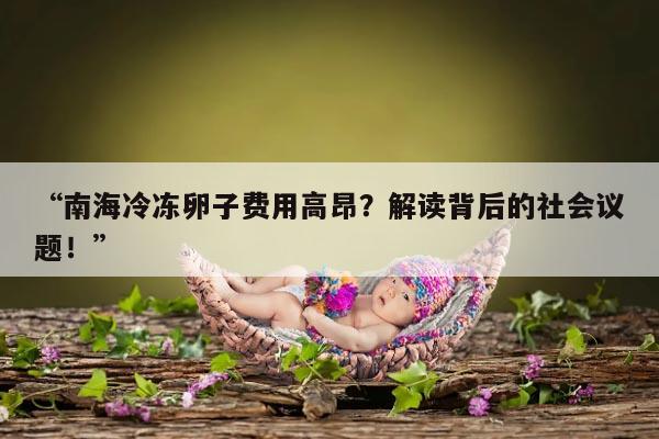 “南海冷冻卵子费用高昂?解读背后的社会议题!”