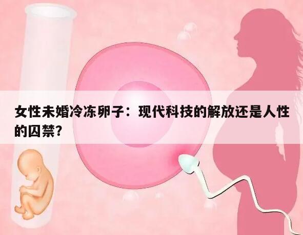 女性未婚冷冻卵子:现代科技的解放还是人性的囚禁?