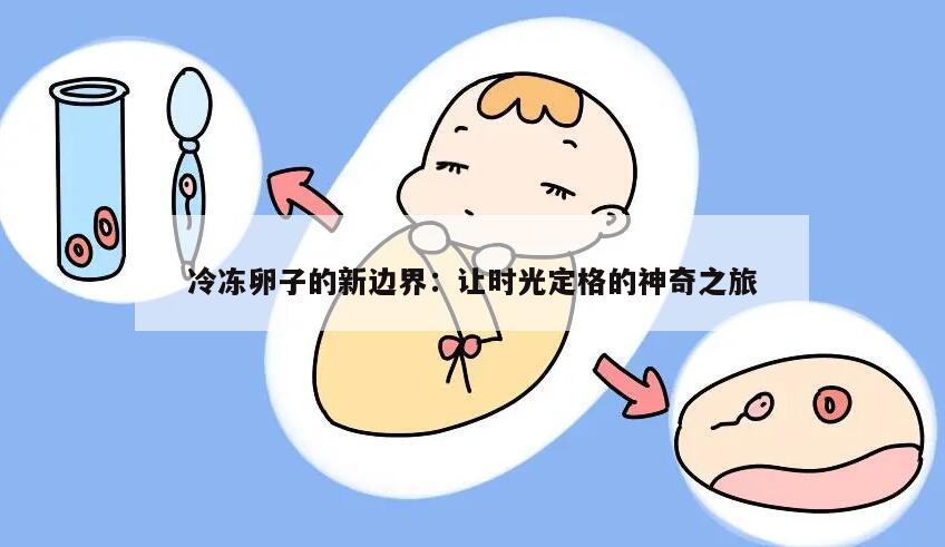 冷冻卵子的新边界:让时光定格的神奇之旅