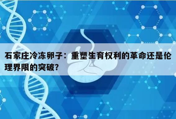 石家庄冷冻卵子：重塑生育权利的革命还是伦理界限的突破？