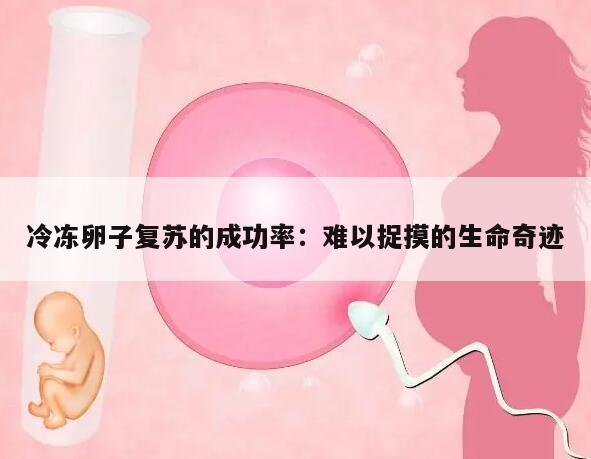 冷冻卵子复苏的成功率:难以捉摸的生命奇迹