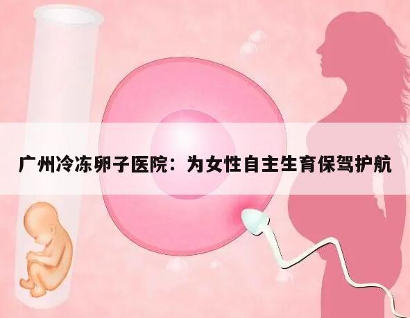 广州冷冻卵子医院：为女性自主生育保驾护航