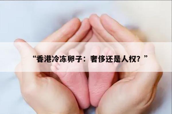 “香港冷冻卵子:奢侈还是人权?”