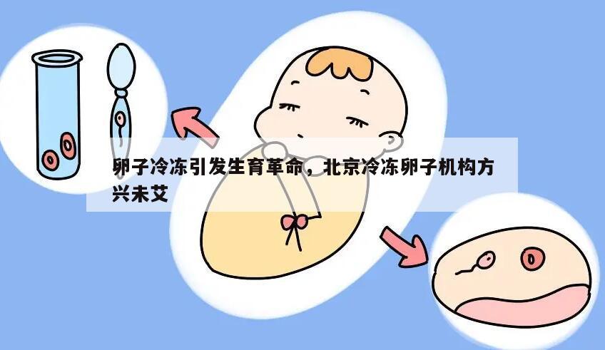 卵子冷冻引发生育革命,北京冷冻卵子机构方兴未艾