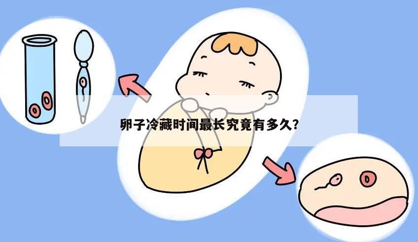 卵子冷藏时间最长究竟有多久?