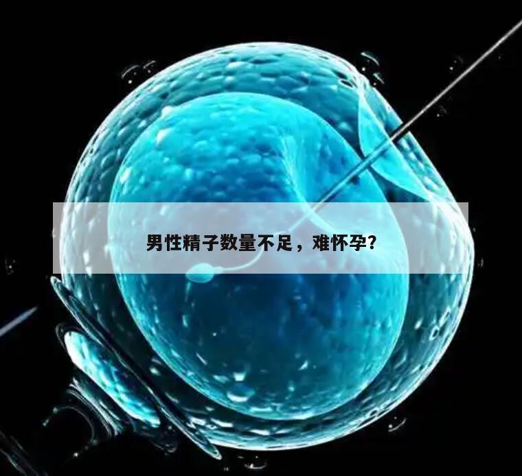 男性精子数量不足,难怀孕?