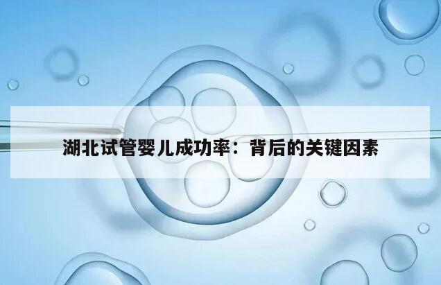 湖北试管婴儿成功率:背后的关键因素