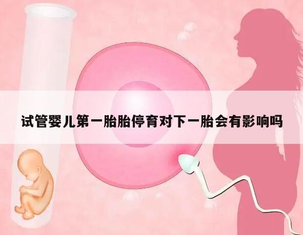试管婴儿第一胎胎停育对下一胎会有影响吗