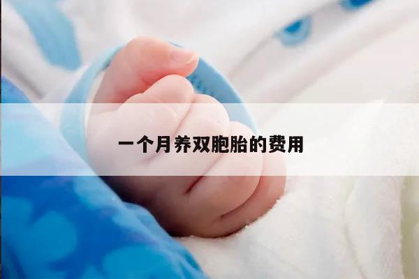 一个月养双胞胎的费用