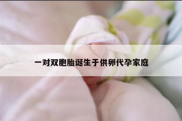 一对双胞胎诞生于供卵代孕家庭