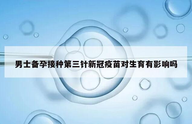 男士备孕接种第三针新冠疫苗对生育有影响吗