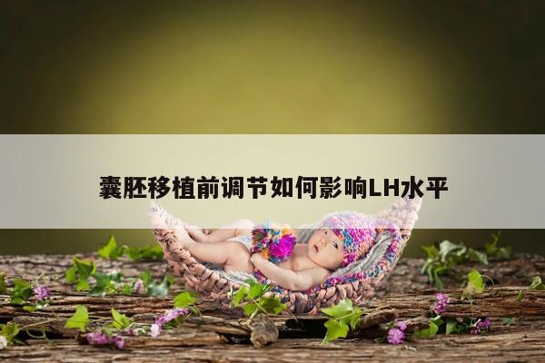 囊胚移植前调节如何影响LH水平