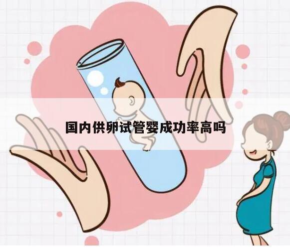 国内供卵试管婴成功率高吗