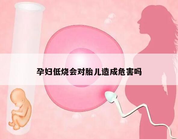 孕妇低烧会对胎儿造成危害吗