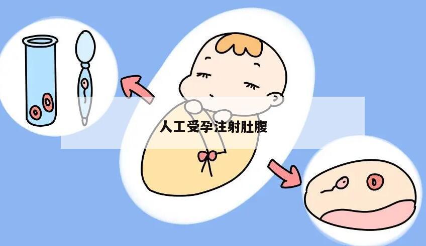 人工受孕注射肚腹