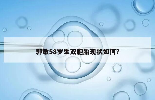 郭敏58岁生双胞胎现状如何?