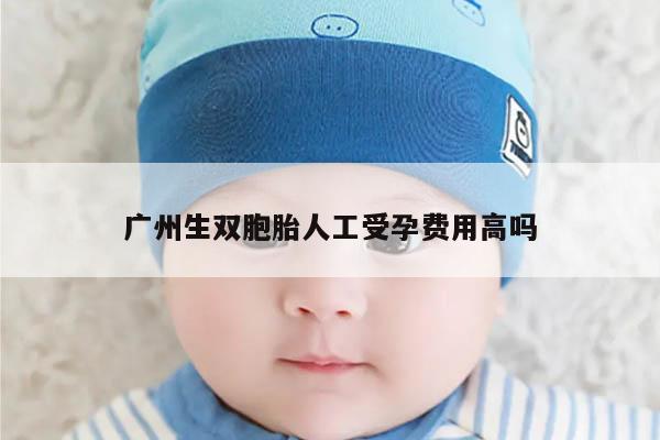 广州生双胞胎人工受孕费用高吗