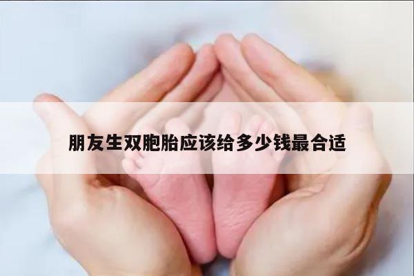 朋友生双胞胎应该给多少钱最合适