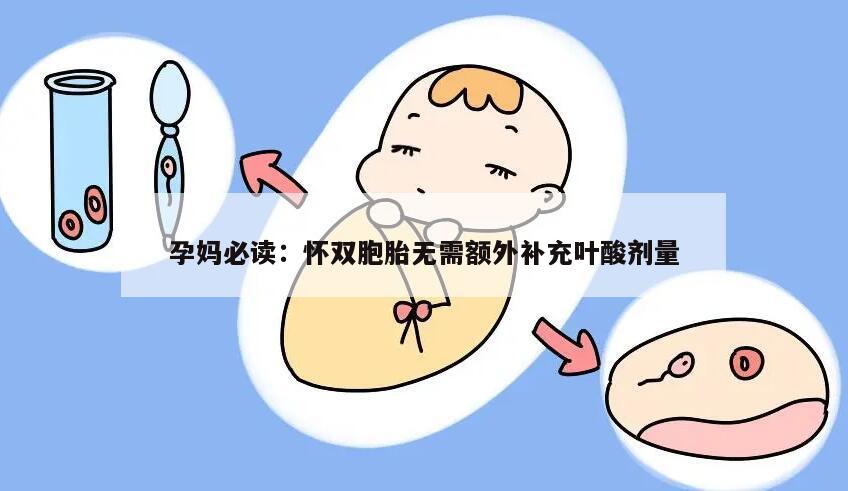 孕妈必读:怀双胞胎无需额外补充叶酸剂量
