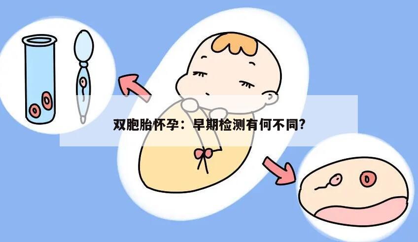 双胞胎怀孕:早期检测有何不同?